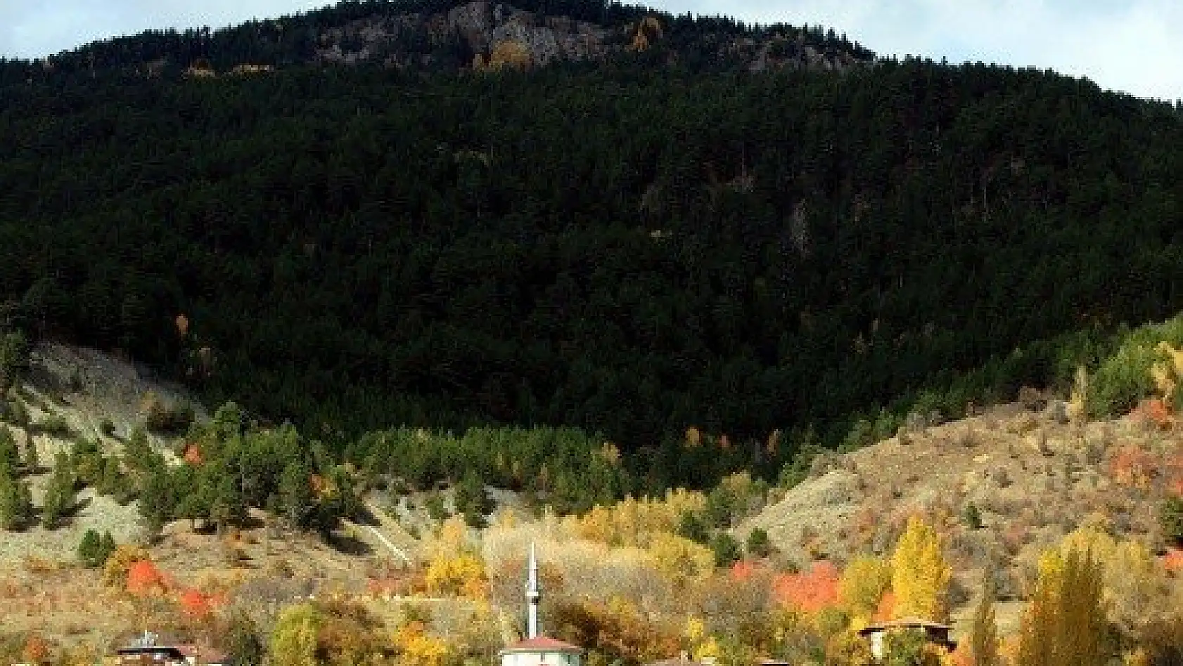 Anadolu'nun &quotYüce Dağı" Ilgaz rengarenk