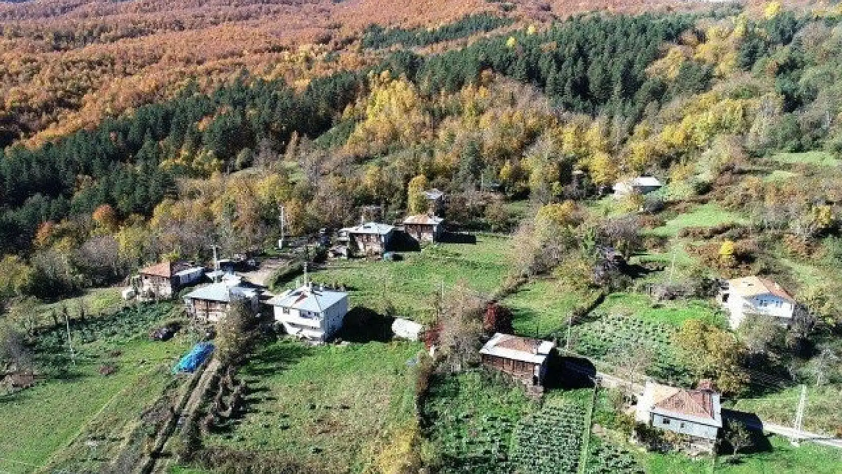 Kastamonu'da sonbahar renklerinin görsel şöleni