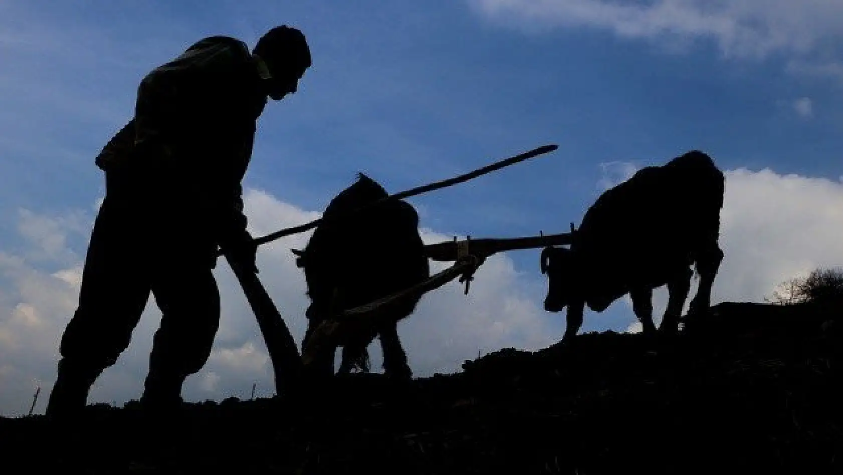 70'lik dede tarlasını kara saban ile sürüyor