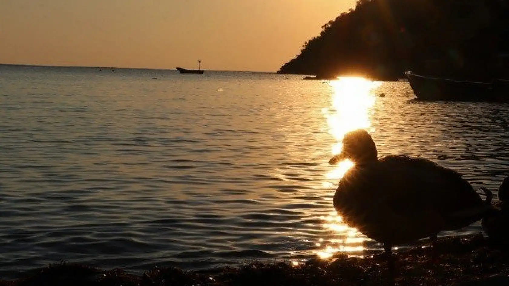 Batı Karadeniz'in cezbeden koyu: Gideros