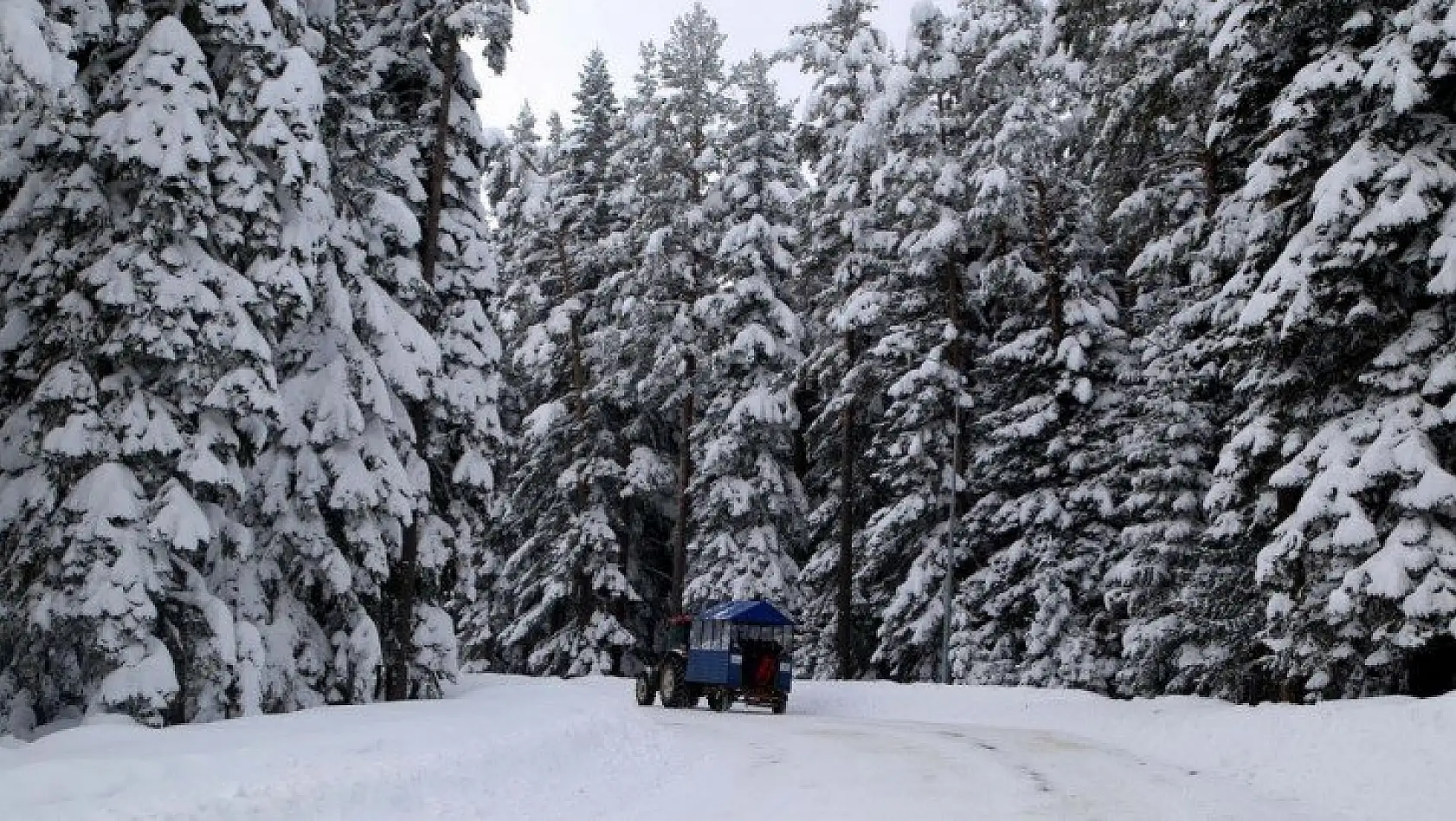 'Anadolu'nun yüce dağı' Ilgaz beyaz örtüsüyle büyülüyor