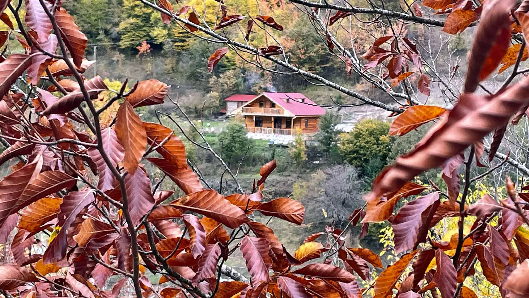 Ilgaz Dağı'nda farklı renk tonları