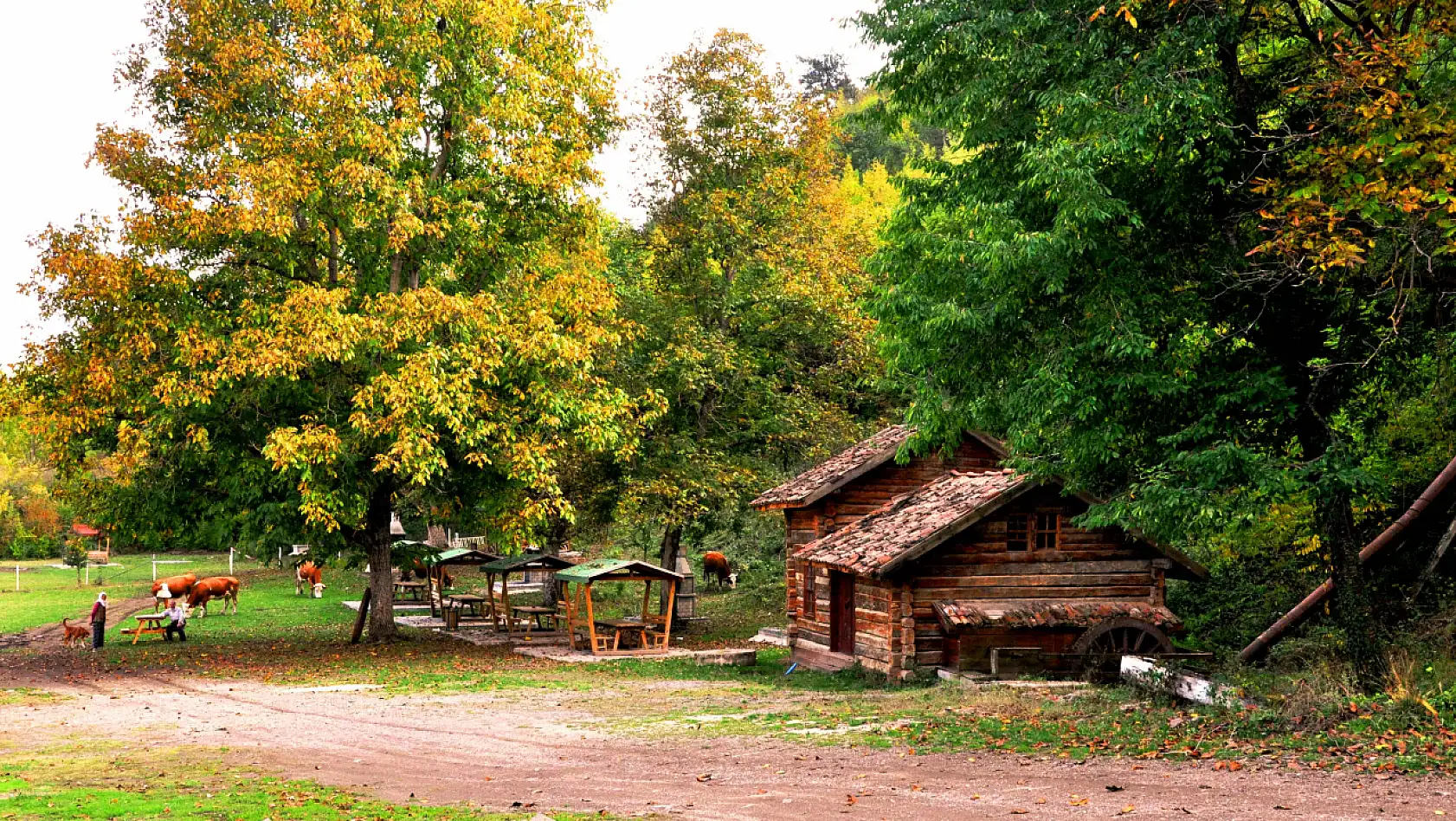 Kastamonu'da sonbahar