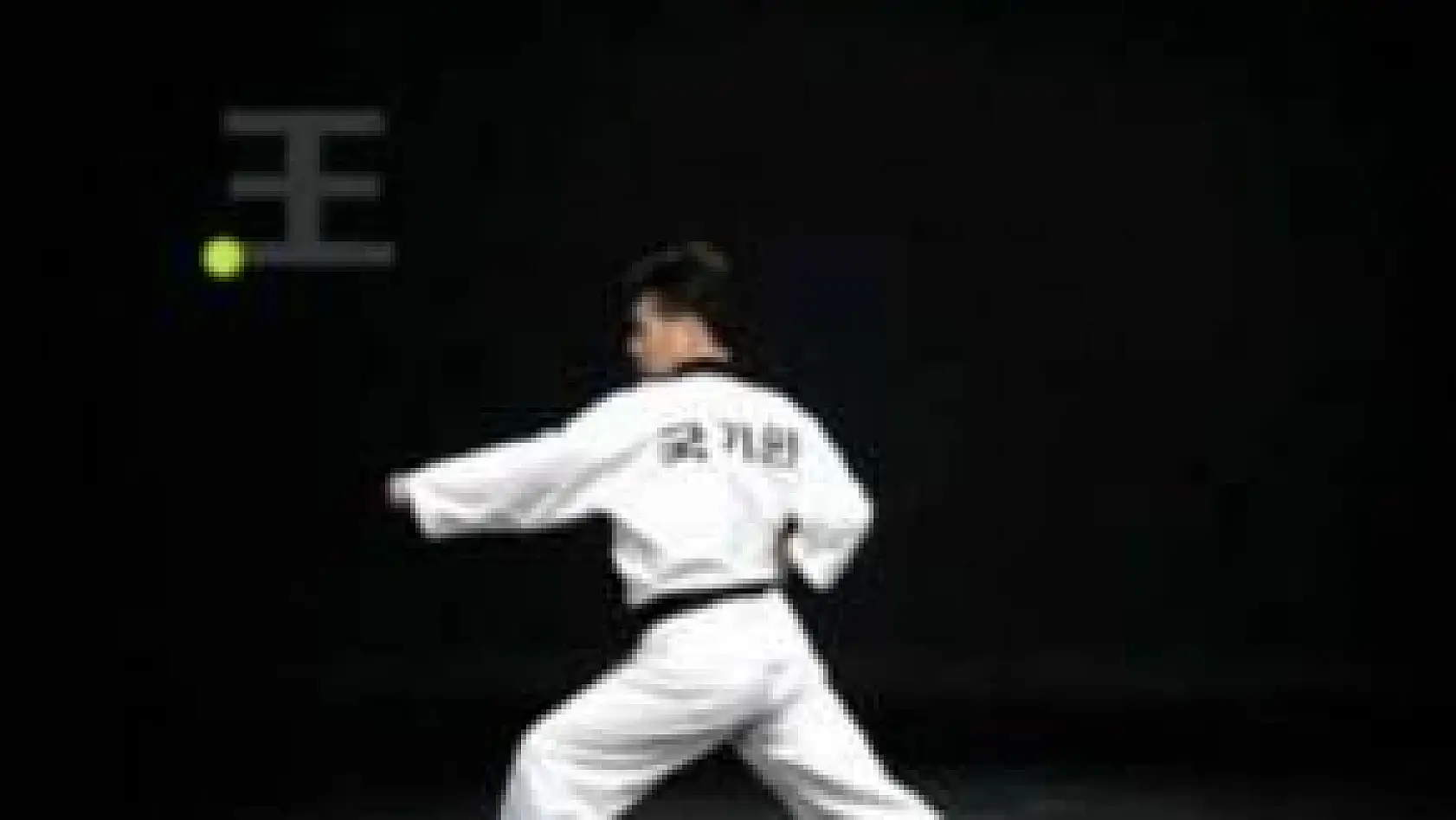 Poomsae-8