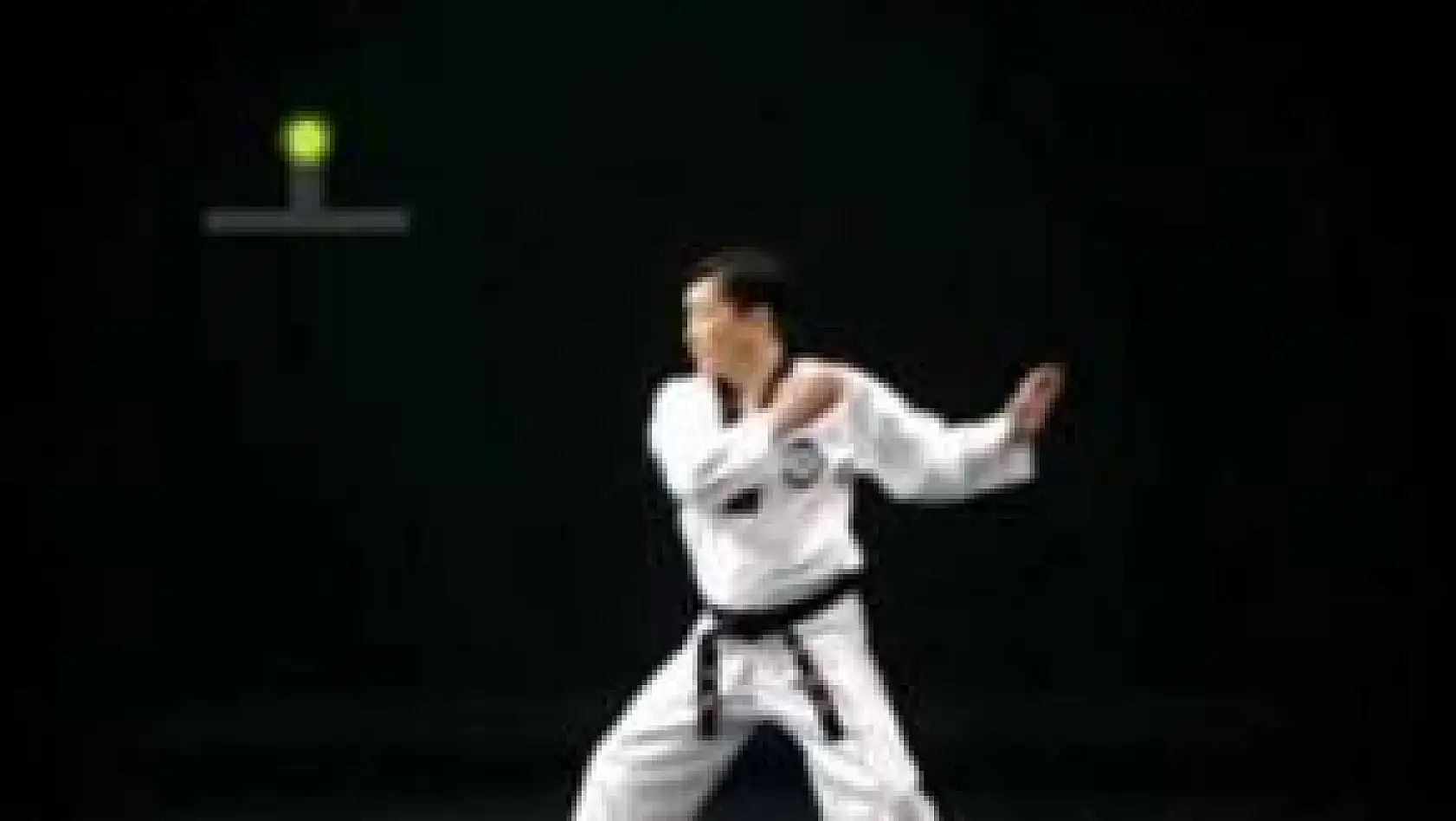 Poomsae Chonkwon