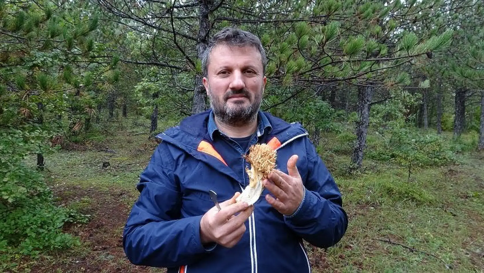 Uzmanından uyarı! Mantarda doğru sanılan yanlışlar