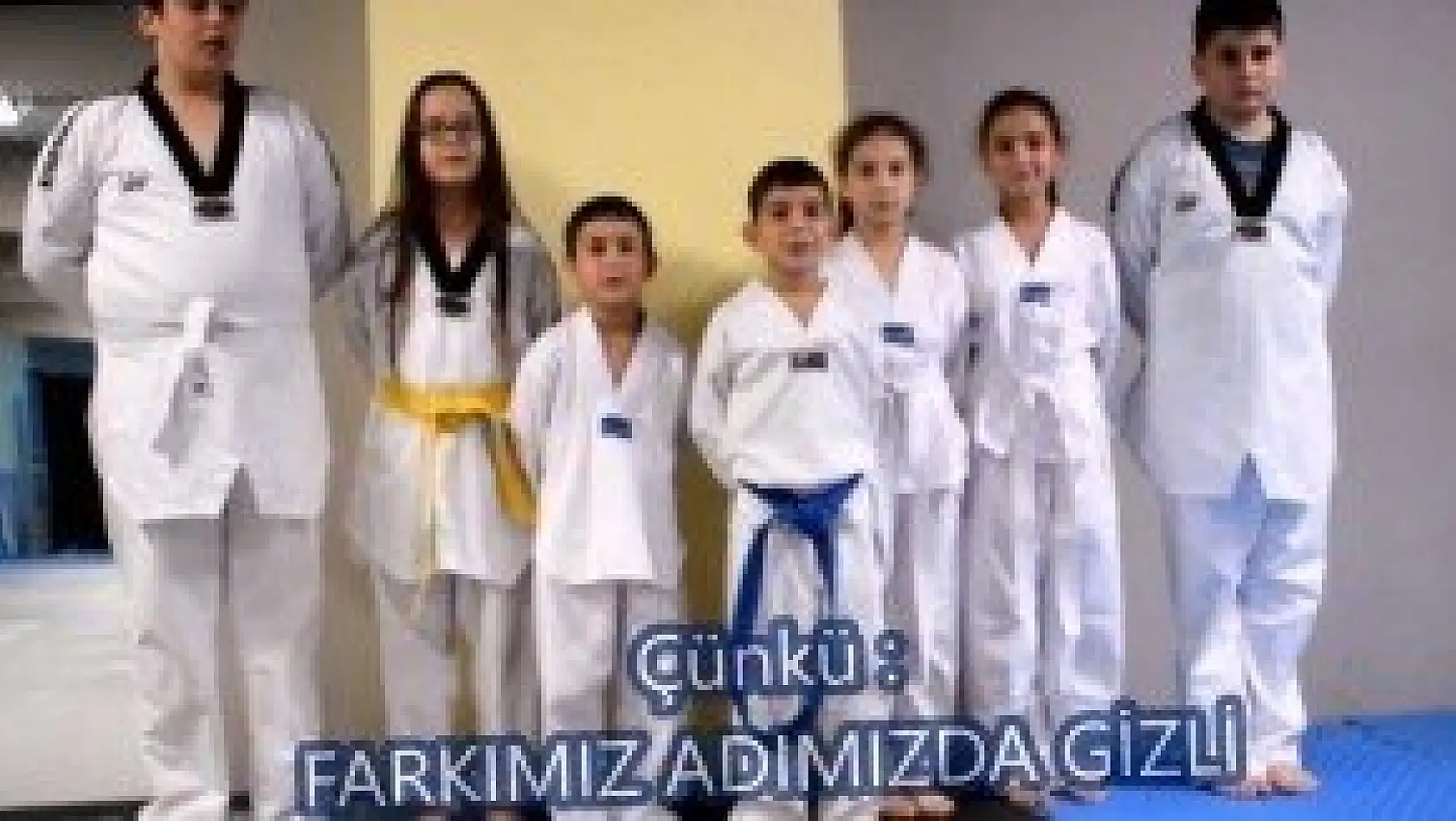 Kastamonu Erişen Spor Kulübü (Taekwondo nedir?)