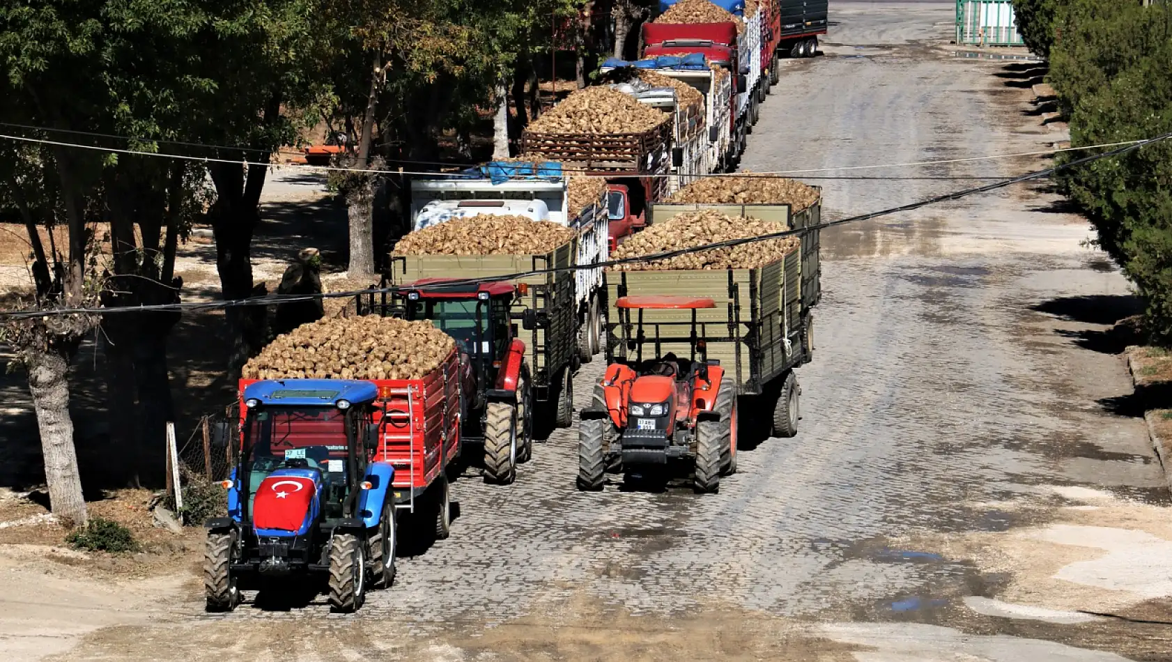 Pancar alım kampanyası başladı