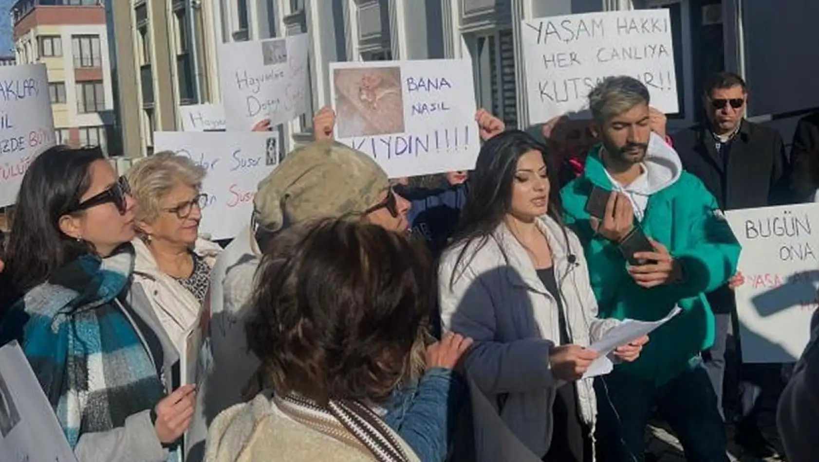 Vahşice öldürülen kedi için protesto