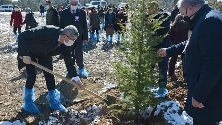 '2021 yılının 65 günlük sürecinde 67 kadın öldürüldü'