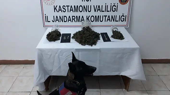 1,5 kilo esrarla yakalandı! 1 tutuklama