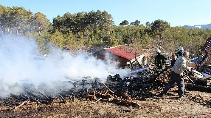 15 dekar ormanlık alan zarar gördü, 60 arı kovanı yandı