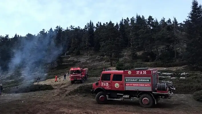 2 yangında yaklaşık 45 hektar ormanlık alan zarar gördü