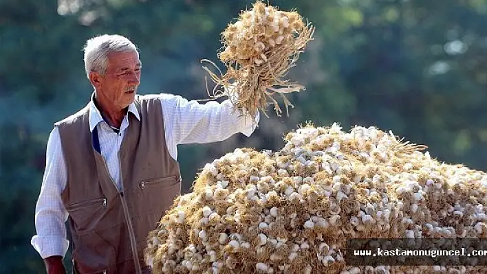 Kastamonu İlk Sırada