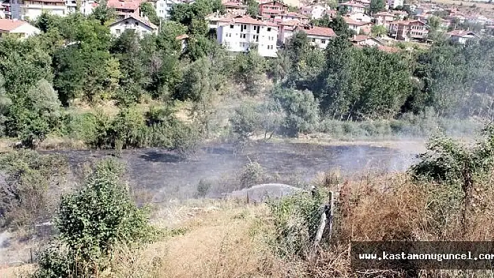 Kastamonu'da Anız Yangını