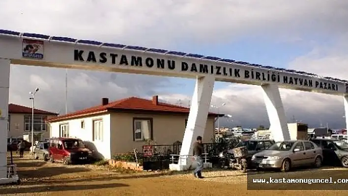 Kastamonu Hayvan Pazarı Açıldı