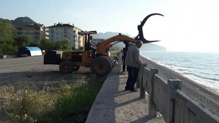 Kastamonu'da sahile şamandıra vurdu