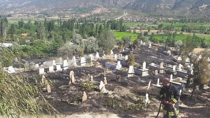 Tosya'da çıkan yangın mezarlara zarar verdi