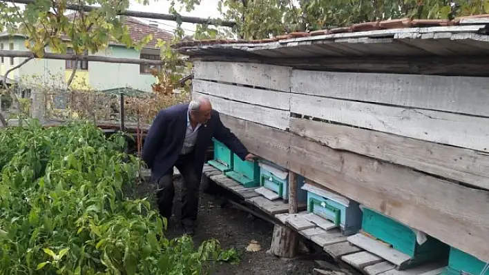 Tosya'da 40 ton bal rekoltesi gerçekleşti