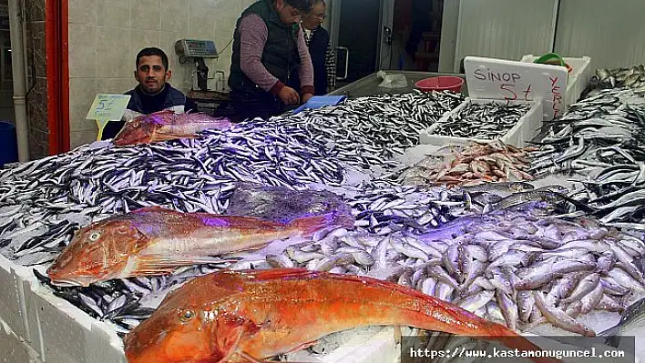 Karadeniz'de balık bolluğu