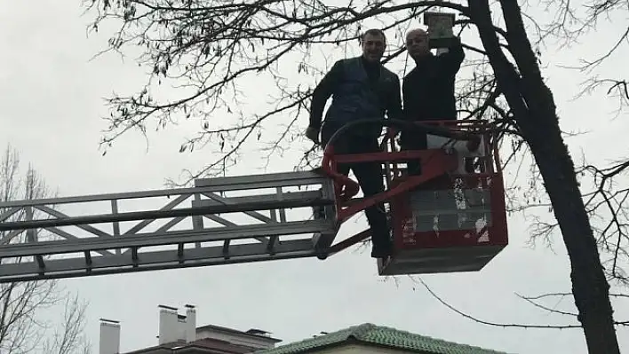 Öğrenciler kuş evlerini boyadı