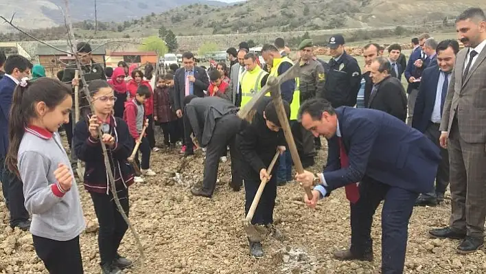 Hanönü'de öğrenciler fidan dikti