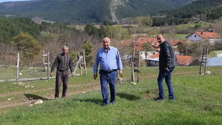 Buğdayın atası 'siyez'de yüksek verim beklentisi