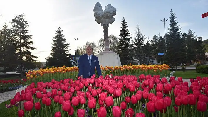 Taşköprü Lalelerle başka güzel!