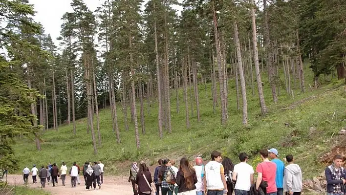 Hanönü'de sağlıklı yaşam için Akgöl'e yürüdüler