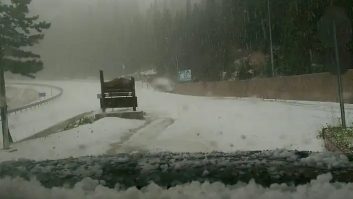 Ilgaz Dağı Milli Parkına dolu yağdı