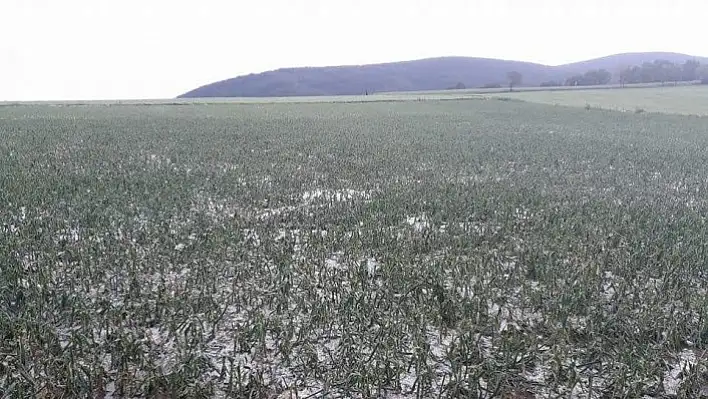 Kastamonu'da ceviz büyüklüğünde dolu yağdı