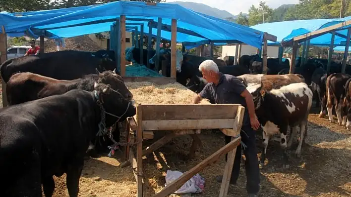 Bozkurt'ta kurban pazarı kuruldu