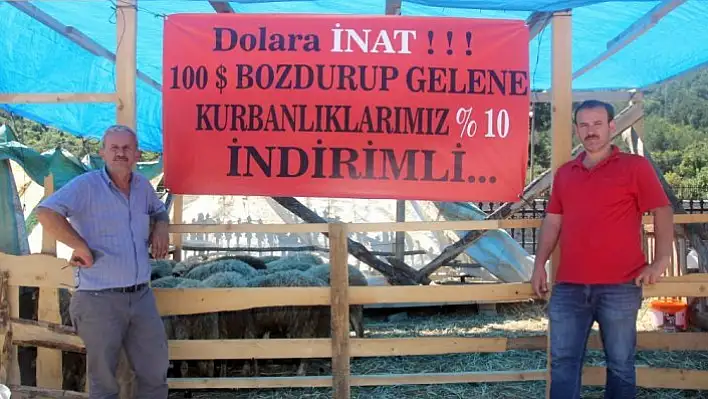 Dolar bozdurana kurbanlıkta indirim