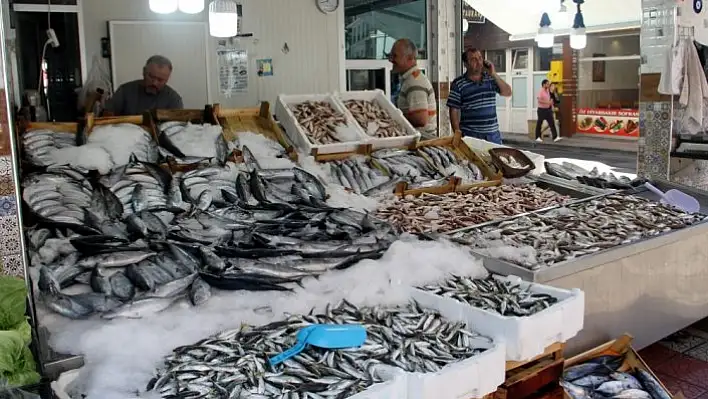 Karadeniz'de tezgahlar balık çeşitleriyle doldu