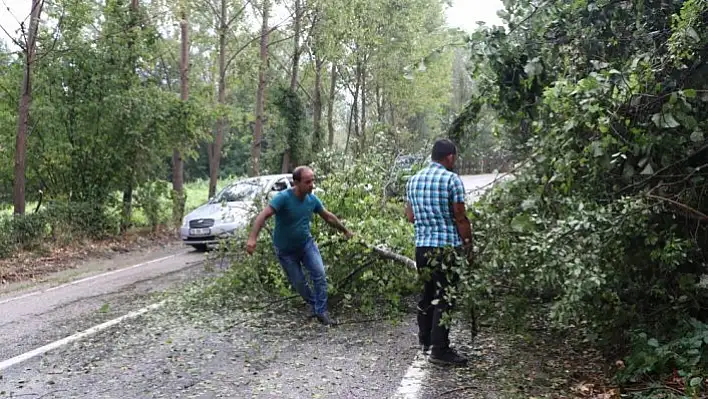 Kastamonu'da sağanak ve kuvvetli rüzgar