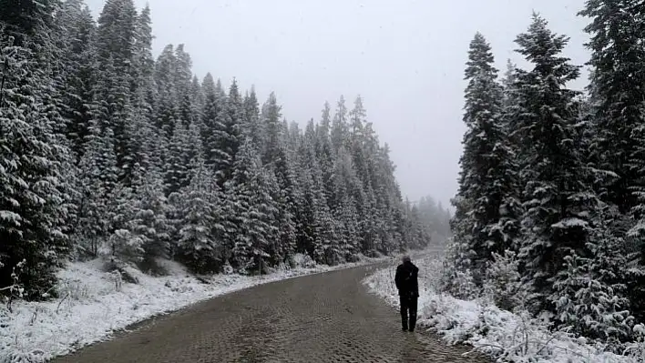 Ilgaz'a mevsimin ilk karı yağdı