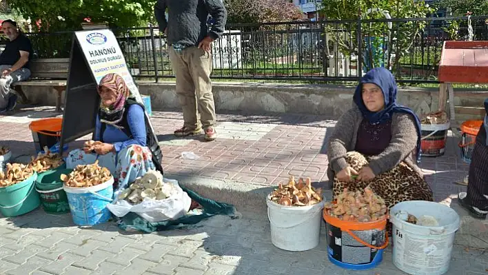 Kanlıca mantarı pazara indi