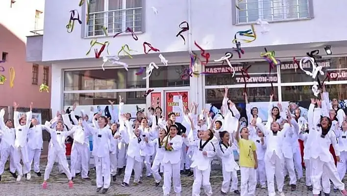 Taekwondo Akademi büyüledi