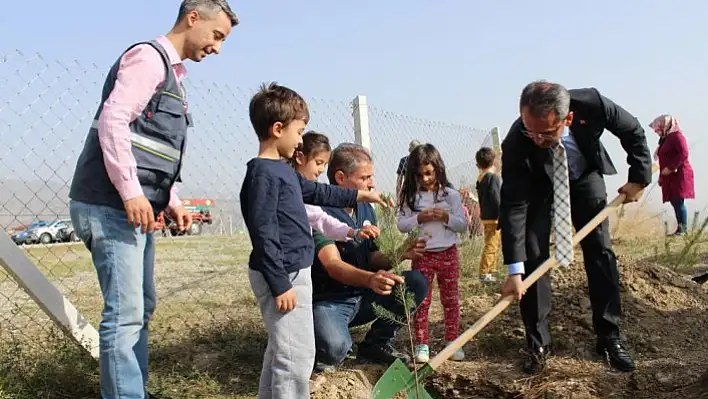 Tosya'da öğrenciler fidan dikti