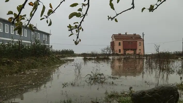 Karadeniz'de dalgalar sahil şeridinde zarar verdi