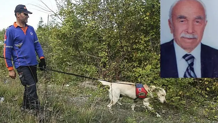 Kastamonu'da kayıp alzheimer hastası aranıyor