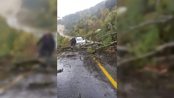 Kastamonu-Çatalzeytin yolu heyelan nedeniyle kapandı