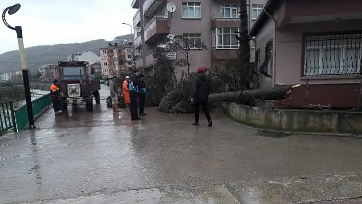 Cide'de fırtına etkili oldu