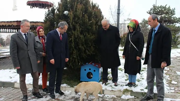 'Hayvan dostu ilçe' kulübelerle donatıldı