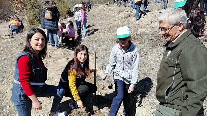 Hanönü'de Orman Haftası etkinliği