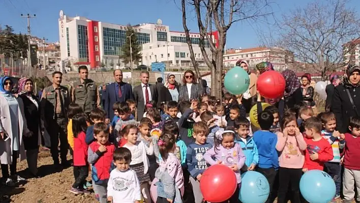 Tosya Cumhuriyet Anaokulunda Fidan Dikme Etkinliği