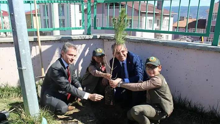 Tosya'da fidan dikimi yapıldı