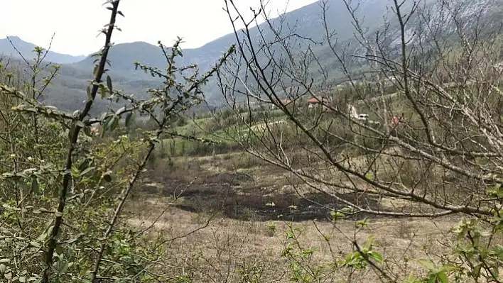 Kastamonu'da çıkan anız yangının itfaiye söndürdü