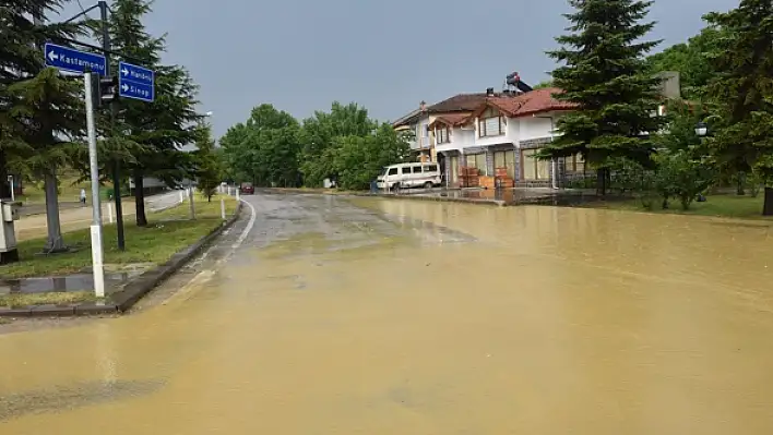 Kastamonu'da hayvanlar sele kapıldı