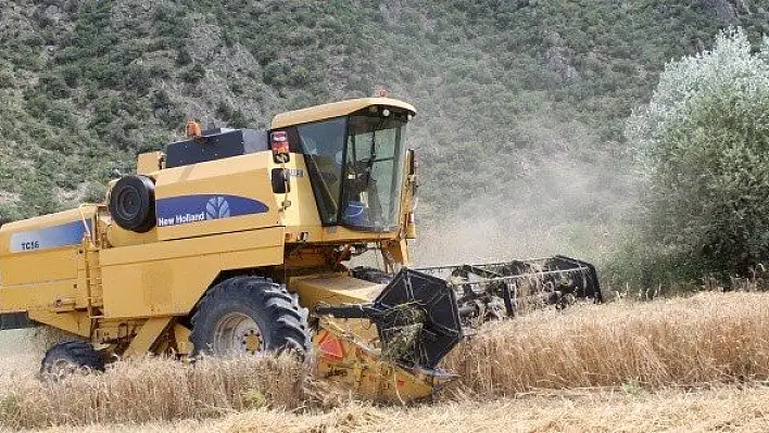 Kastamonu'da hububat hasadı başladı 